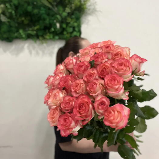 Роза джумилия 29 шт