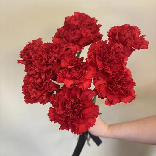 10 красных гвоздик