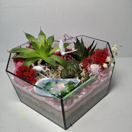 Флорариум с суккулентами - цветы для любимой в подарок