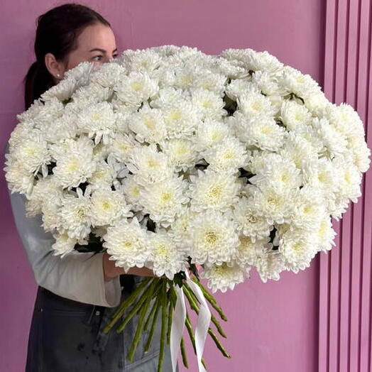 Огромный букет из 25 белых кустовых хризантем под ленту