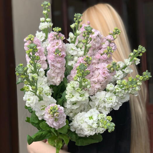Букет из ароматной маттиолы