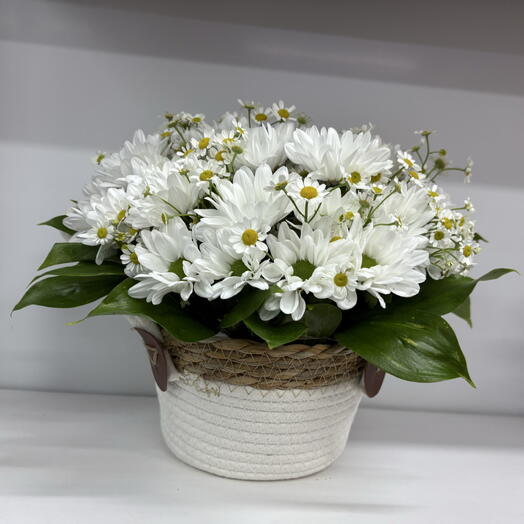 Корзинка с ромашками