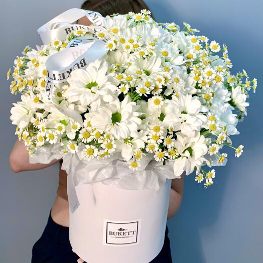 Летняя феерия