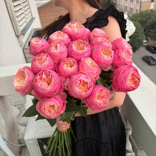 peony rose whisper