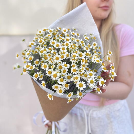 Восхитительные ромашки 🌼 моно букет из 7 матрикарии