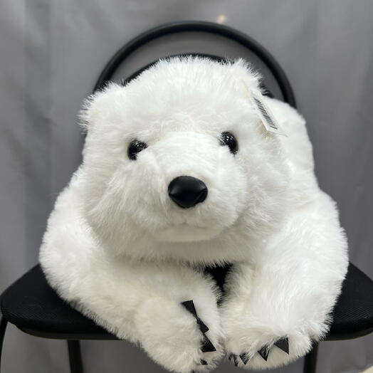 Белый мишка 🧸🤍