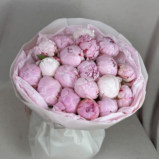 19 пионов Сара Бернар🎀
