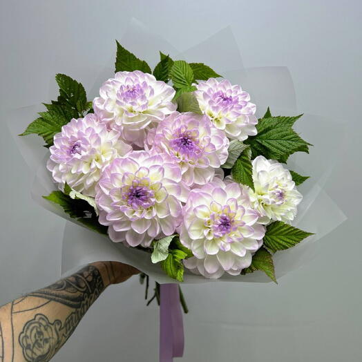 Нежные Георгины с малиной 7 шт