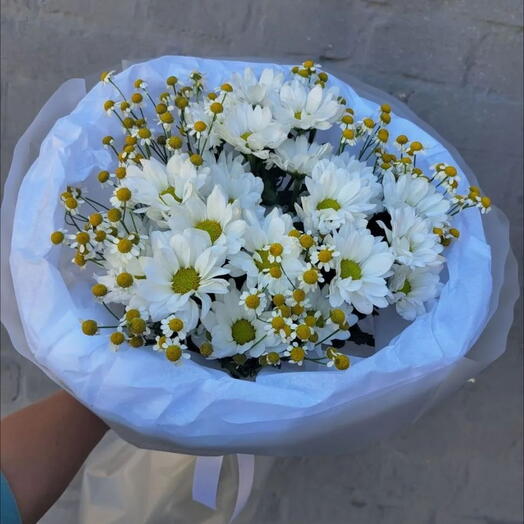 Ромашки