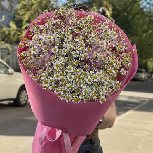 Моно из ромашек