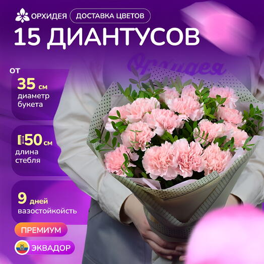 Букет 15 Диантусов розовых