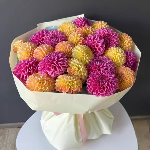 Dahlia Bloom