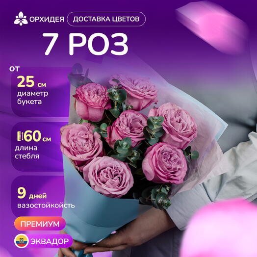 7 пионовидных роз Куинси с эвкалиптом
