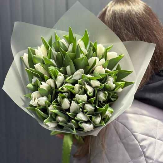 Тюльпаны белые 49шт Голландские