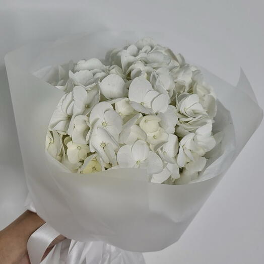 Мини из гортензий