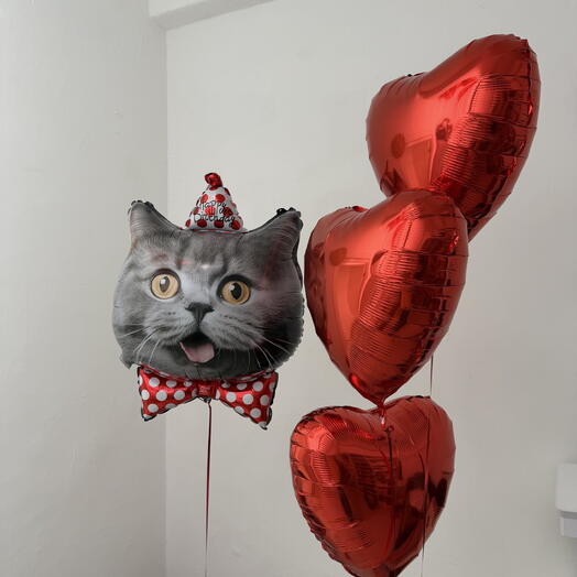 Шарики с котиком в колпачке на день рождения