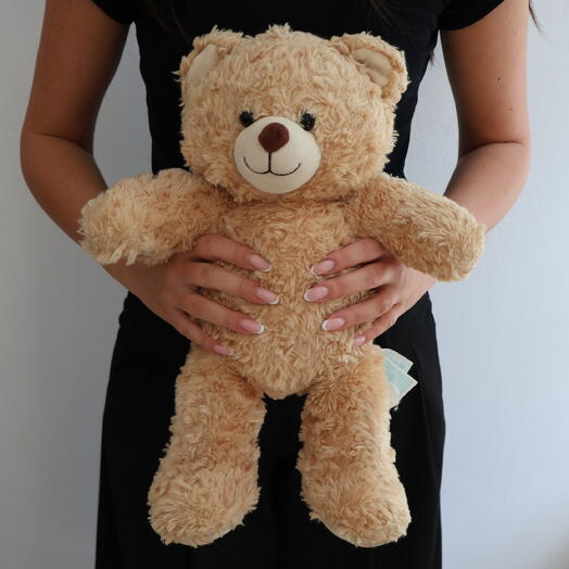 Medium Beige Teddy Bear
