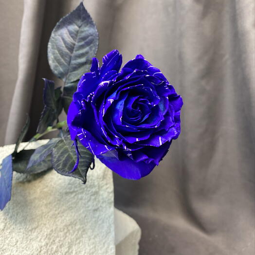 Роза Фиолетовая 💜 Экзо