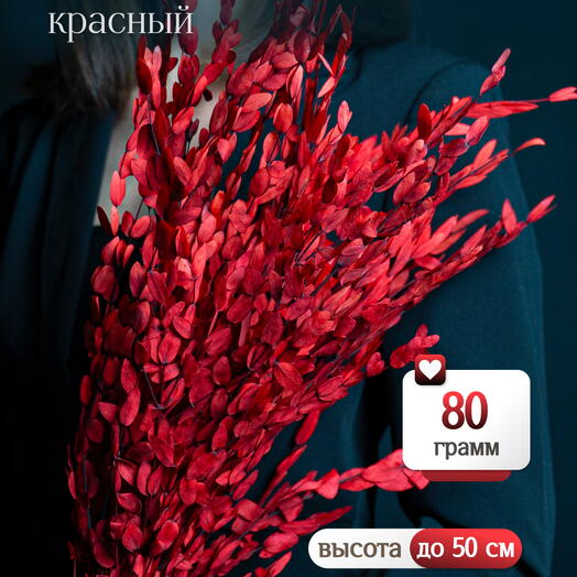 Эвкалипт Парвифолия красный 80г Высший сорт М675