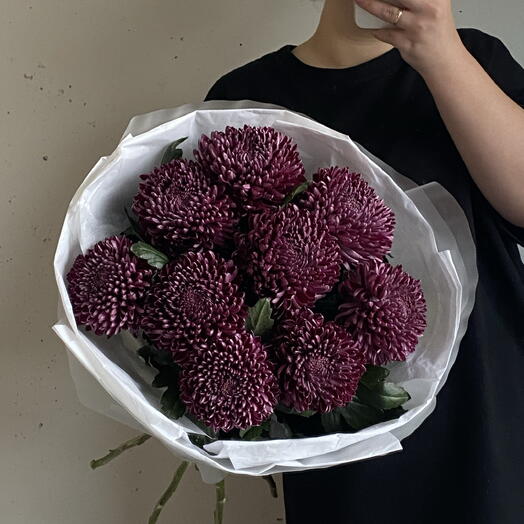 Сезонные хризантемы сорта «Бигуди» в винном оттенке в упаковке 🍇 9
