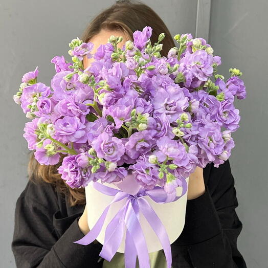 Лавандовая Нежная маттиола 💜