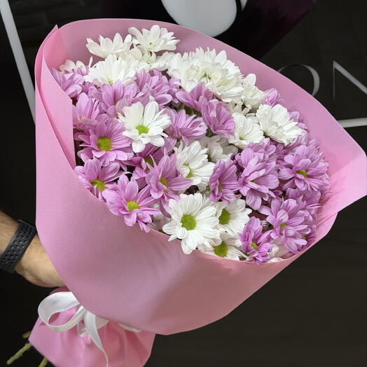 Chrysanthemum 💗💗