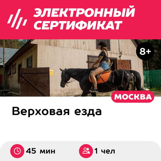 Подарочный сертификат Индивидуальное занятие верховой ездой на плацу для 1 человека (45 мин.)