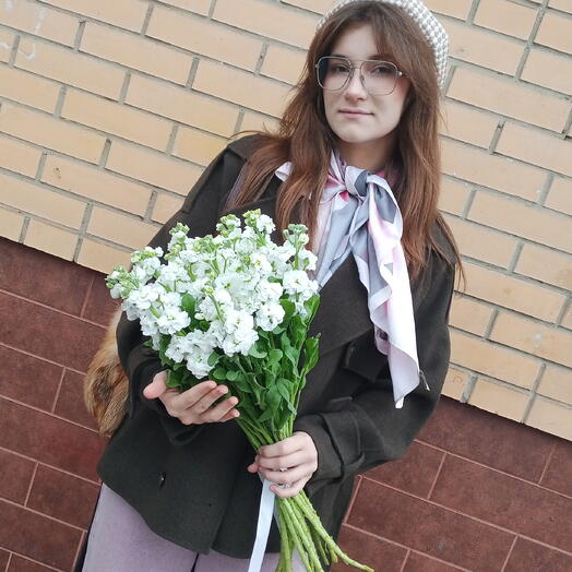 Маттиола