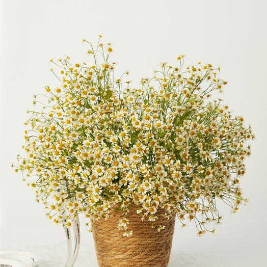 Корзина из камиллы Дозен корзина 13