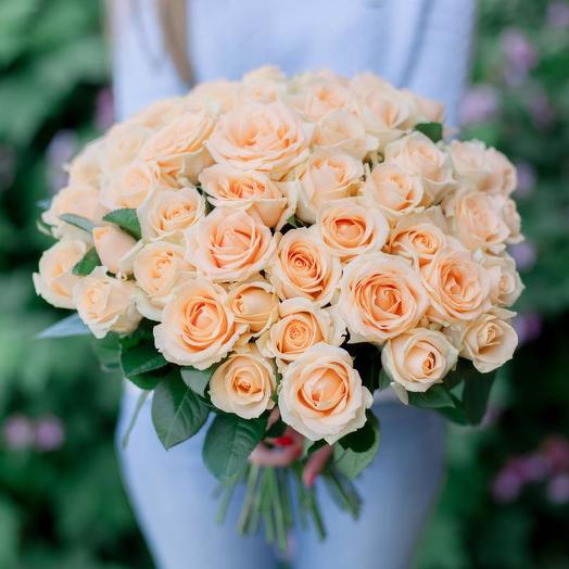 51 delicate rose