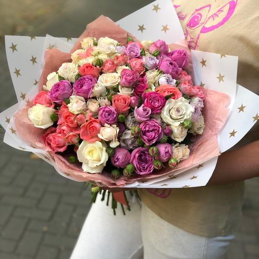 31 роза кустовая