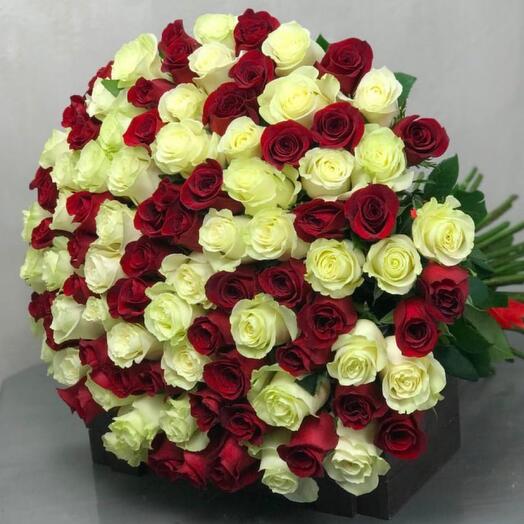 101 rosa Ecuador, 70 cm