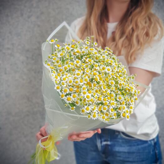 Chamomile Cloud