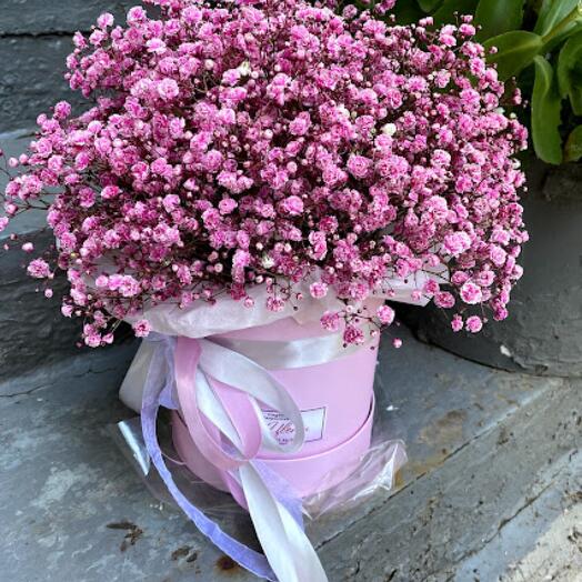 Caja con gypsophila "mousse de Bayas"