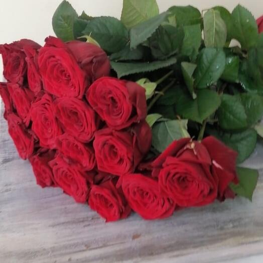 Bouquet of 19 roses