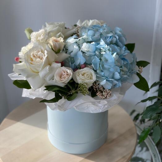 Box "Gentle melody"