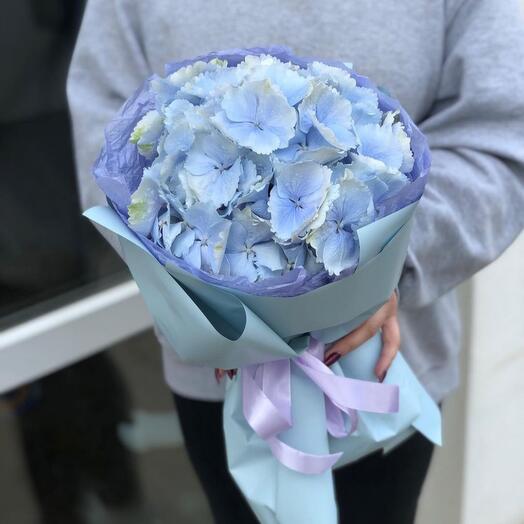 Букет из голубой гортензии