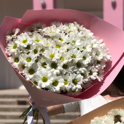 Bouquet of chamomile chrysanthemum