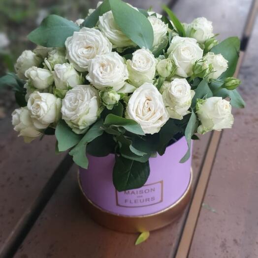 Flores en una Caja de Misty Bubbles