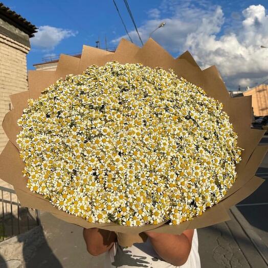 Букет из 101 камиллы