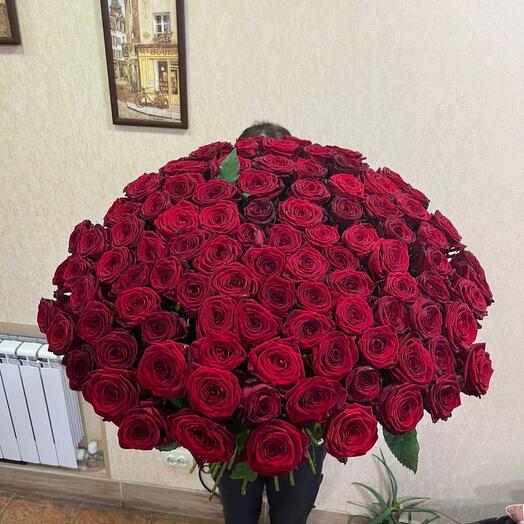 Ослепительная леди