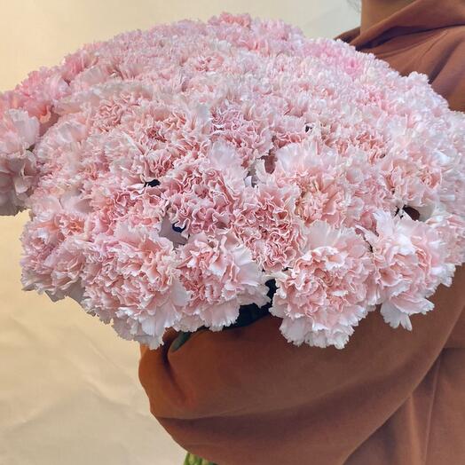 Pink carnation 45 pieces