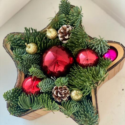 Зимняя звезда из живой ели