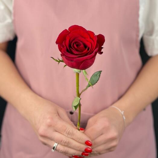Rosa de una sola cabeza "Freedom"