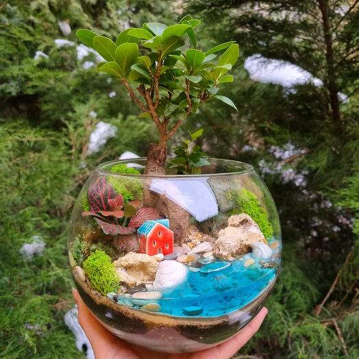 Флорариум с бонсаем Фикусом в шаре М