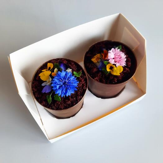 Assorted cakes "Pot of flowers" Chocolate/Cherry and "Hazelnut" (completely edible)