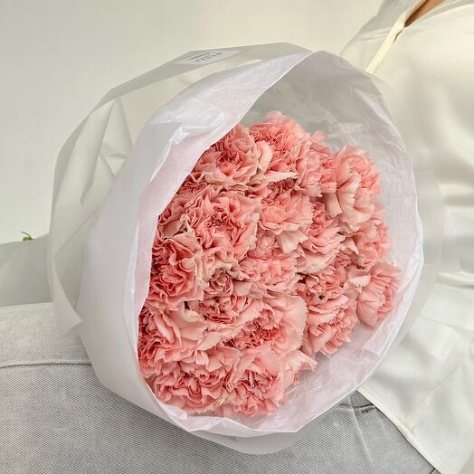 Dianthus