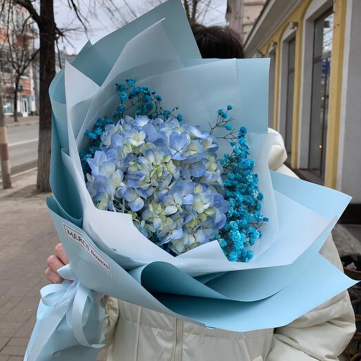 Hortensia con gypsophila