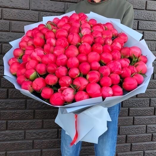 101 Coral Peonies