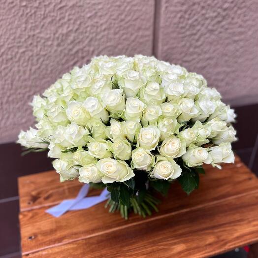 101 rosa blanca 40-50 cm